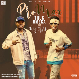 Pro Max (feat. Wiz Child)