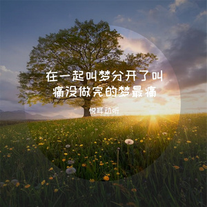 在一起叫梦分开了叫痛没做完的梦最痛