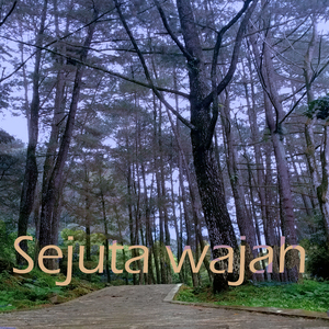 Sejuta Wajah