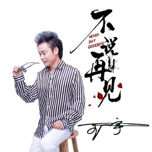不说再见