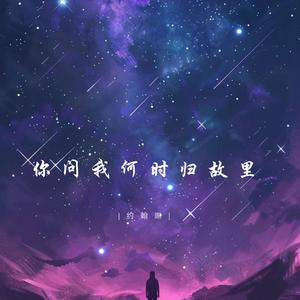 你问我何时归故里