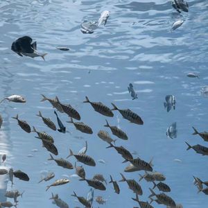 慢热（完整版）（翻自 满舒克）