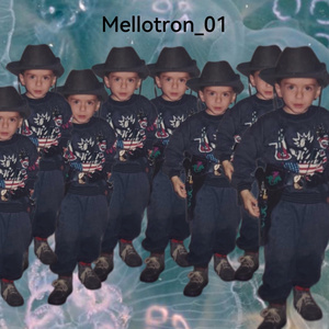 Mellotron 8