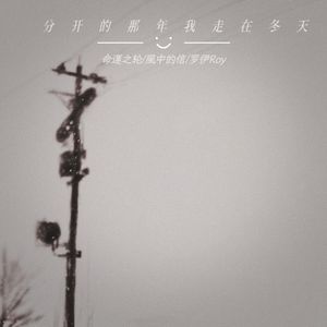 分开的那年我走在冬天