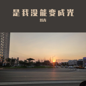 是我没能变成光