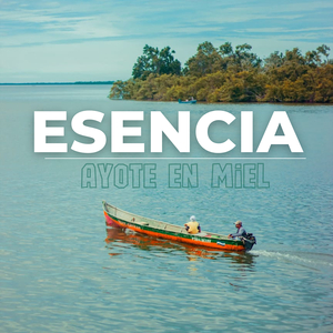 Esencia