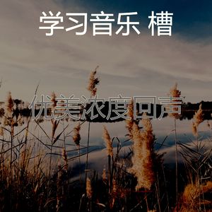 微妙的在家里工作心情