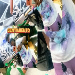 SENTIMIENTO