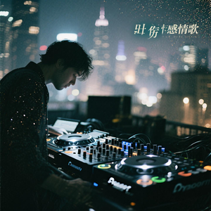 你不再属于我DJ