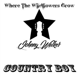 Where The Wildflowers Grow