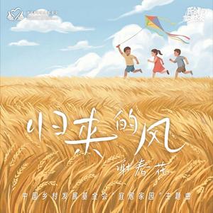 归来的风