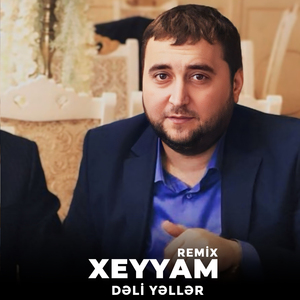 Dəli Yəllər (Remix)