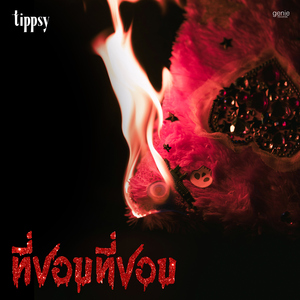 ที่ชอบที่ชอบ