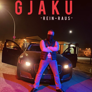 Rein-Raus