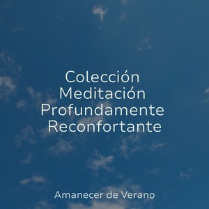 La Esencia de la Solitud Benévola