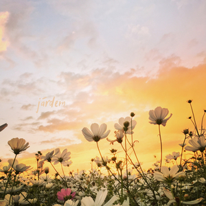 я уже здесь