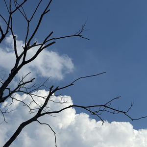 青年青春之创新