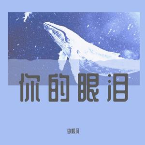 你的眼泪