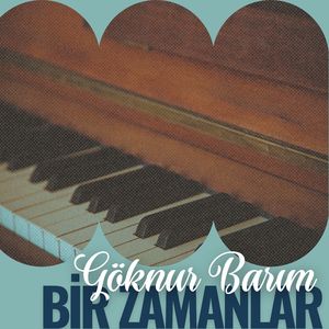 Sevilmemişsin