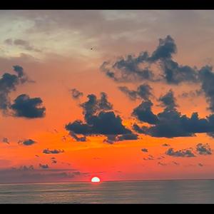 ცარიელ ჩიხებს/Cariel chixebs