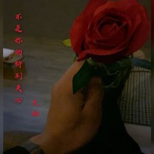 不是你特别关心