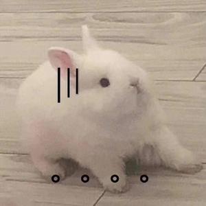 陶冶情操