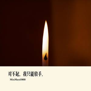 对不起，我只能放手