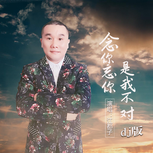 念你忘你是我不对 (DJ版)
