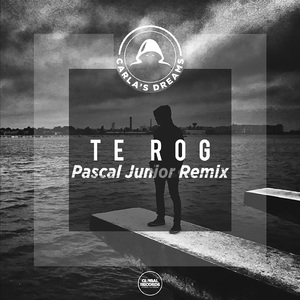 Te Rog (Pascal Junior Remix)