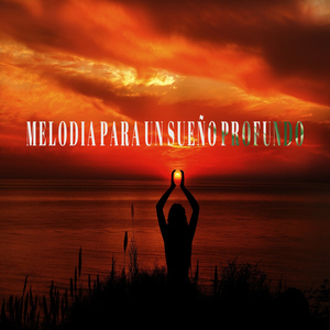 Descansa la mente y duerme