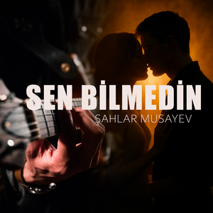 Sen Bilmedin