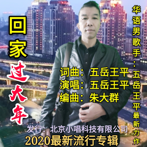 回家过大年（旋律版）