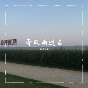 等风雨过后