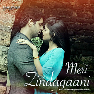 Meri Zindagaani