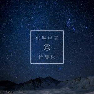 《仰望星空》五色石南叶