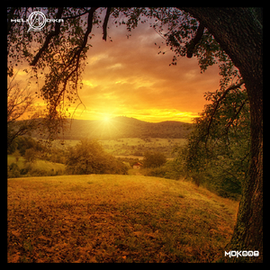 Hol(y)ster (Lorenzo Oppo Remix)