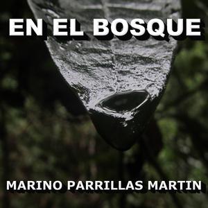 APRENDIENDO A BAILAR