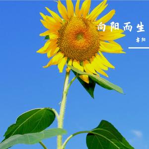 直到世界尽头(Live)