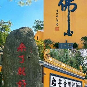 爱的呼吸