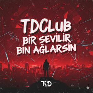 Bir Sevilir Bin Ağlarsın