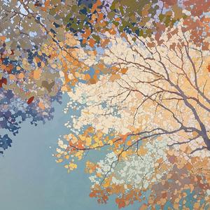 爱不爱无法倒带