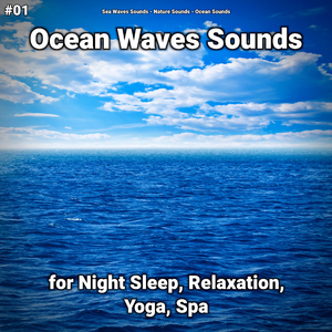 Ocean Waves Sounds Pt. 10