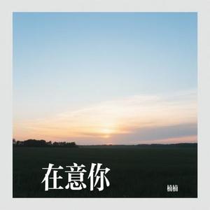 在意你
