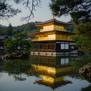 朝の匂い、君の声