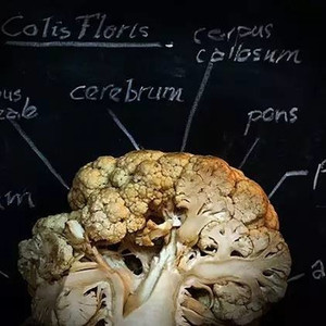 Lonely - DROC(Original Mix)