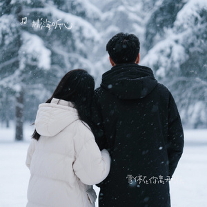 雪停在你离开那天