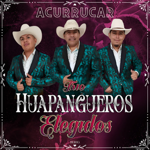 Acurrucar