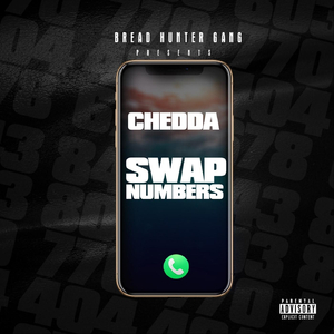 Swap Numbers