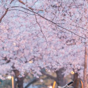 下雪的季节（坠落吧落吧 想你的雪花放肆在心里落下）