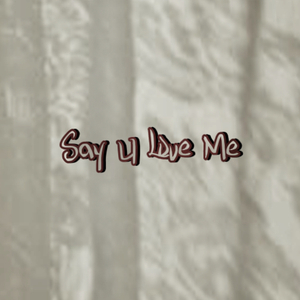 Say U Love Me